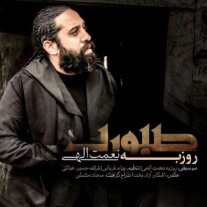 Roozbeh Nematollahi Saboori